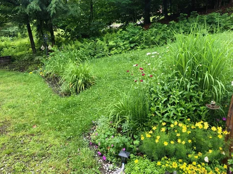 99 Johnson Loop Ludlow VT 05149