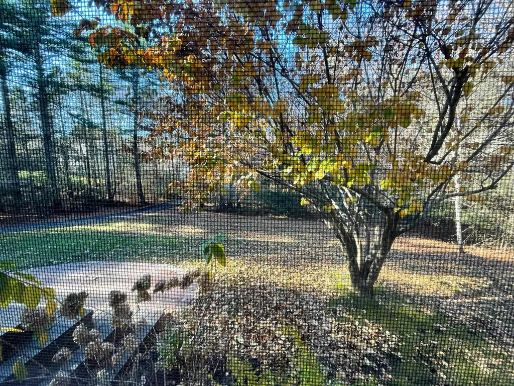11 Highlander Drive North Hampton NH 03862