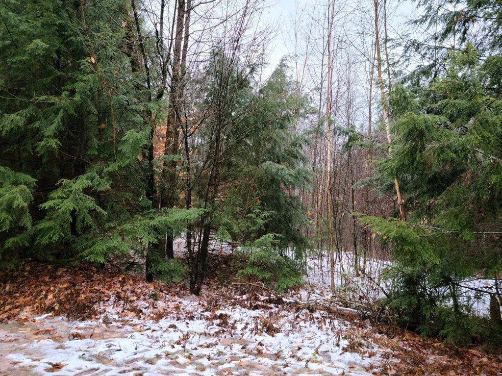 233 Kinsman Road Haverhill NH 03785