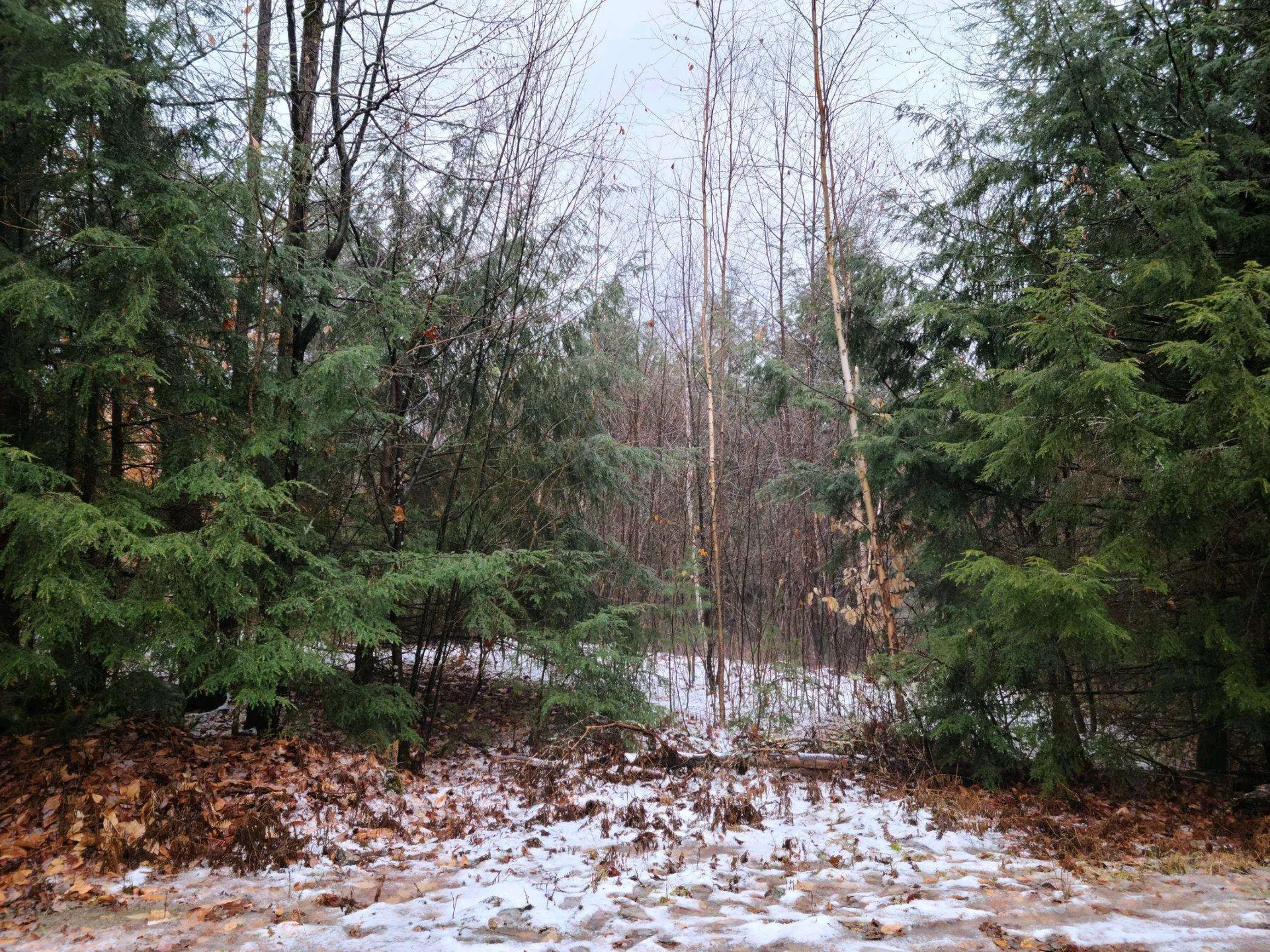 233 Kinsman Road Haverhill NH 03785