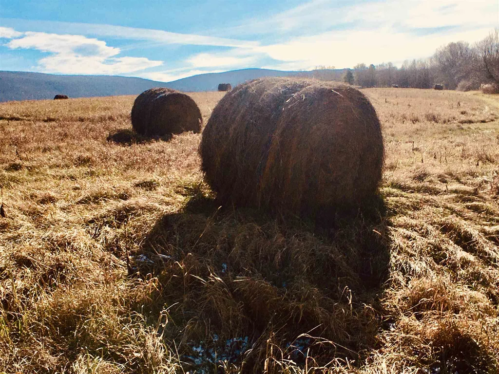 122 High Meadow Way Manchester VT 05255