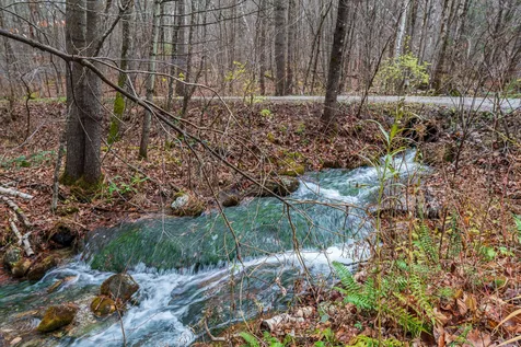 313 Mcnamara Road Dorset VT 05251