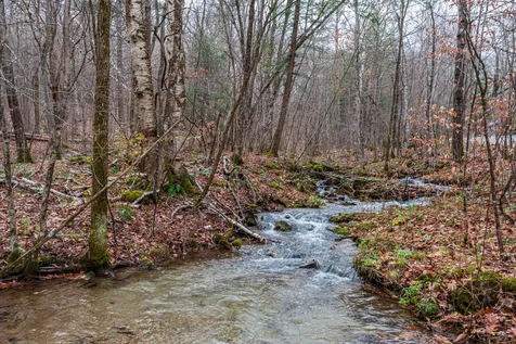 313 Mcnamara Road Dorset VT 05251