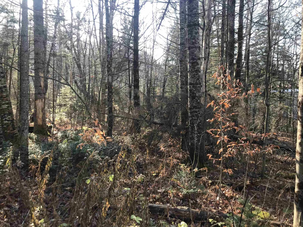 Lot 3 Sun And Ski Road Wilmington VT 05363