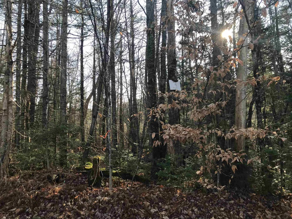 Lot 3 Sun And Ski Road Wilmington VT 05363