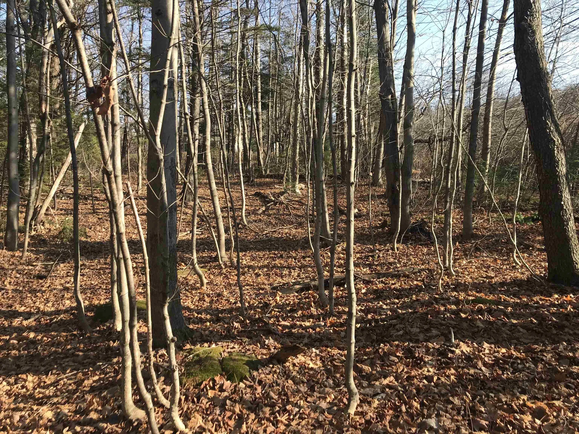 Lot 3 Sun And Ski Road Wilmington VT 05363