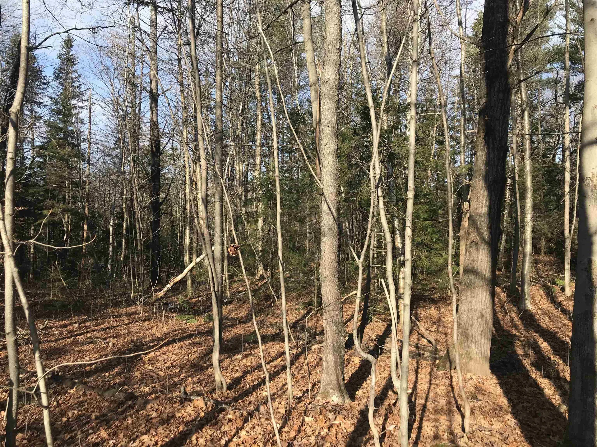 Lot 3 Sun And Ski Road Wilmington VT 05363