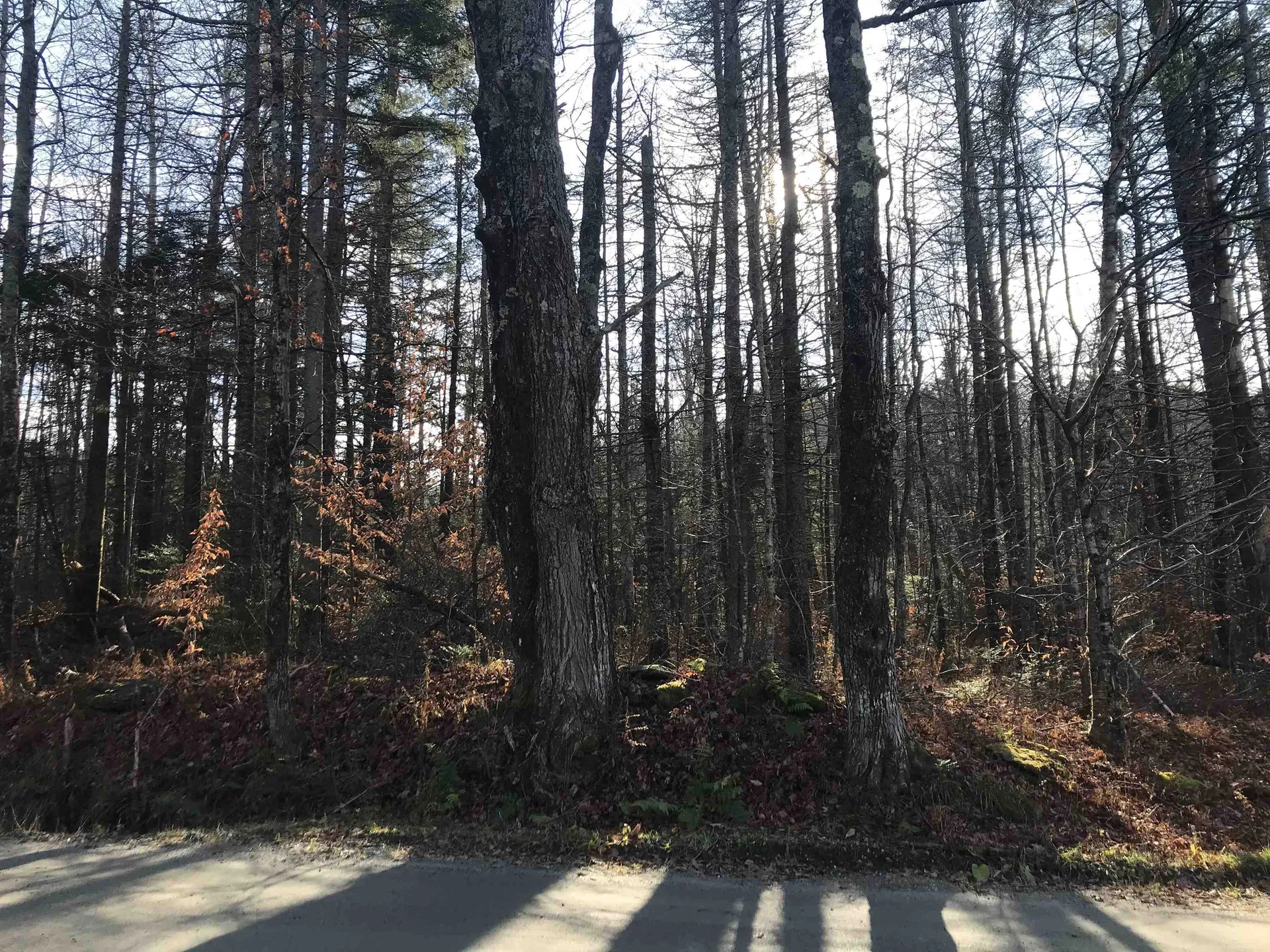 Lot 3 Sun And Ski Road Wilmington VT 05363