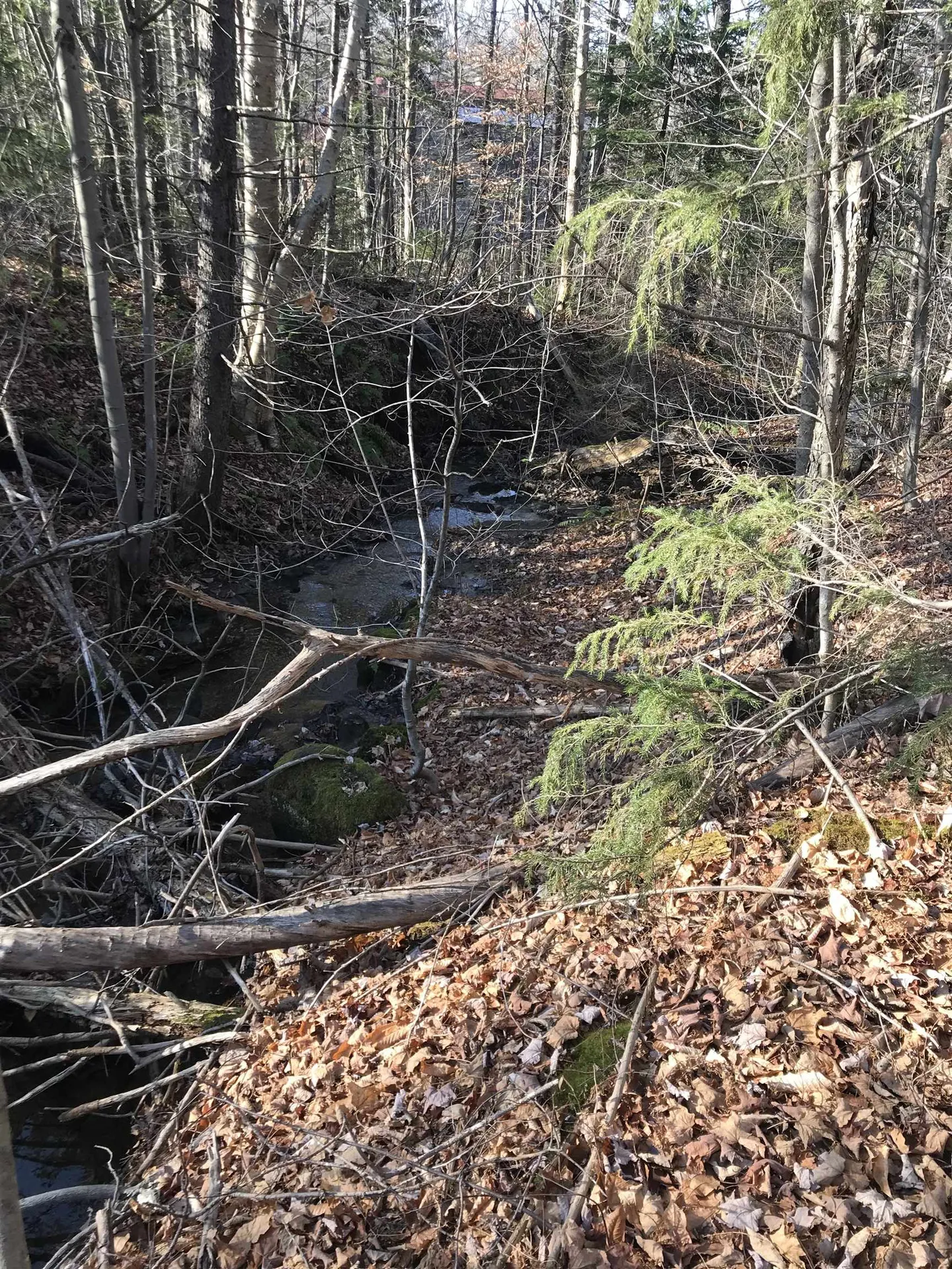 Lot 3 Sun And Ski Road Wilmington VT 05363