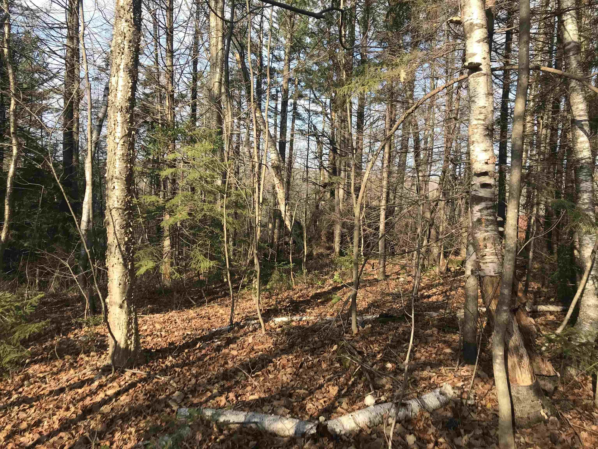 Lot 3 Sun And Ski Road Wilmington VT 05363