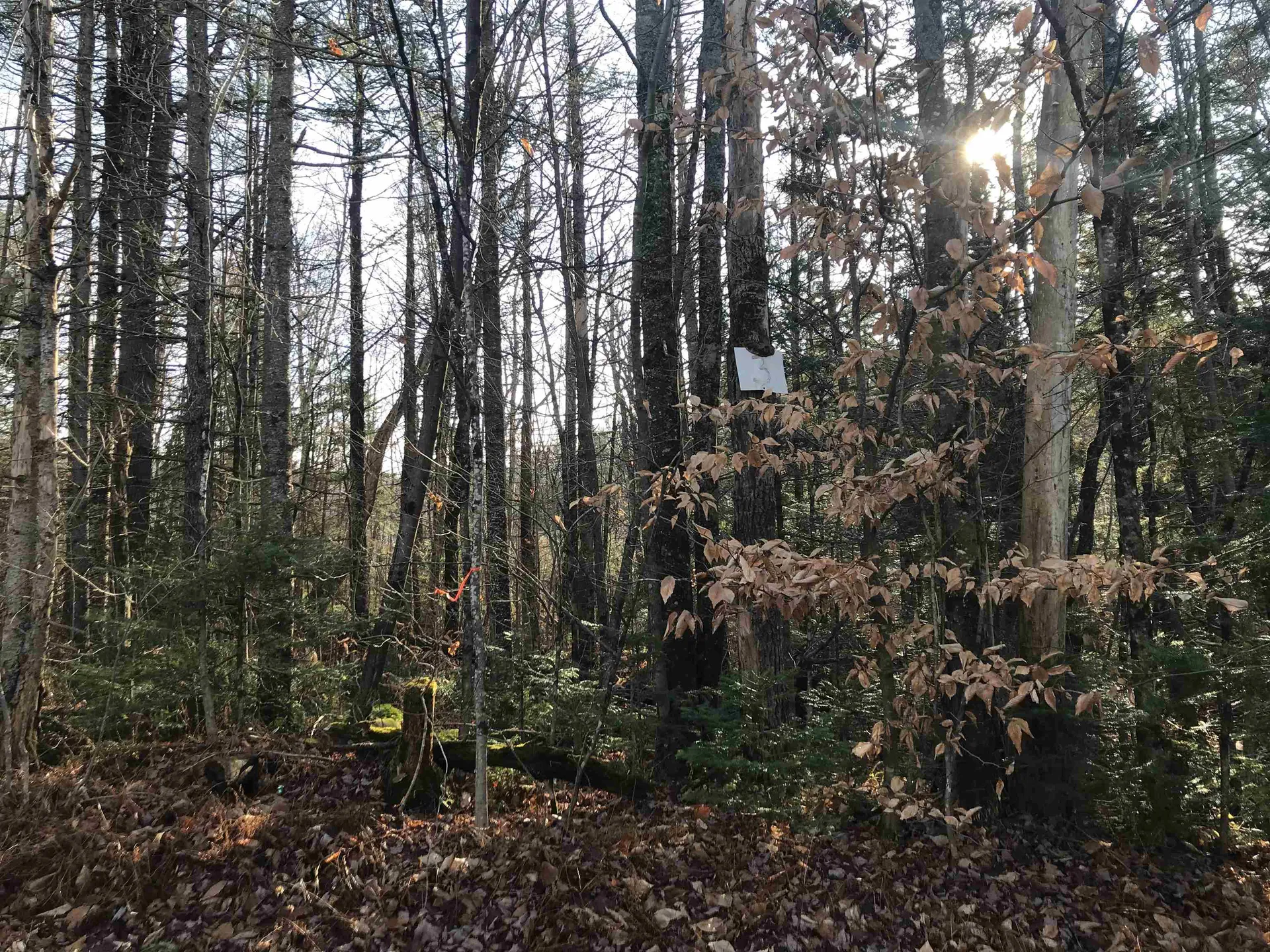 Lot 3 Sun And Ski Road Wilmington VT 05363