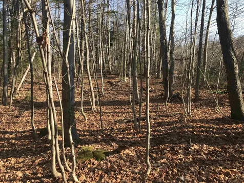 Lot 3 Sun And Ski Road Wilmington VT 05363