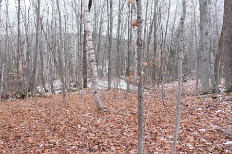 331 Chauncey Road Andover VT 05143