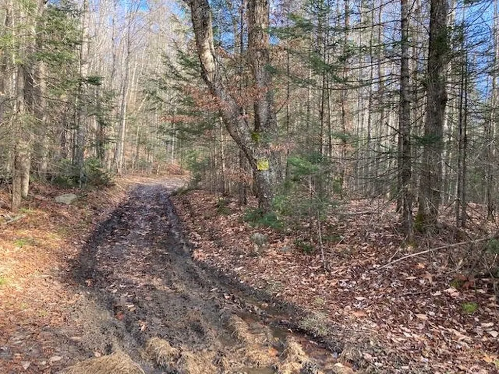 Kilton Road Canaan NH 03741