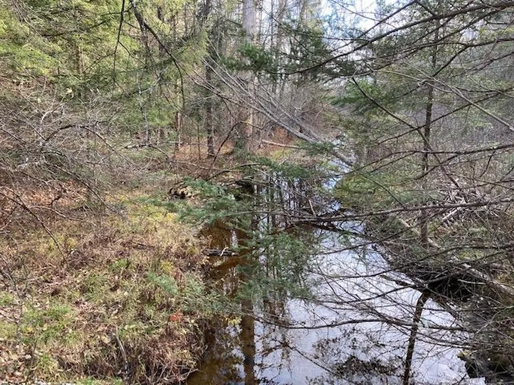 Kilton Road Canaan NH 03741