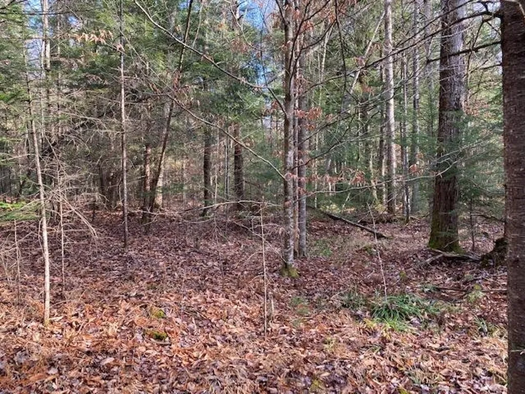 Kilton Road Canaan NH 03741