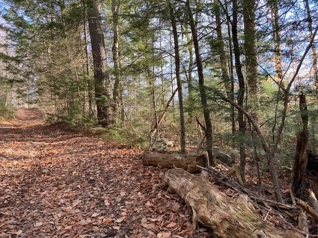 Kilton Road Canaan NH 03741
