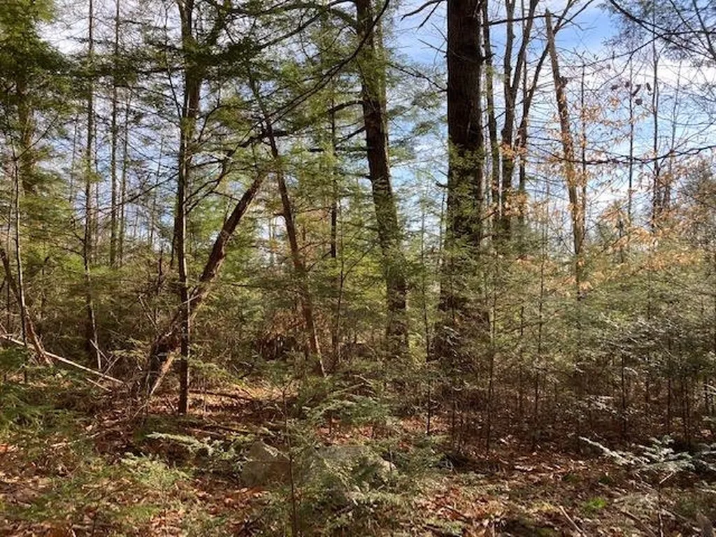 Kilton Road Canaan NH 03741