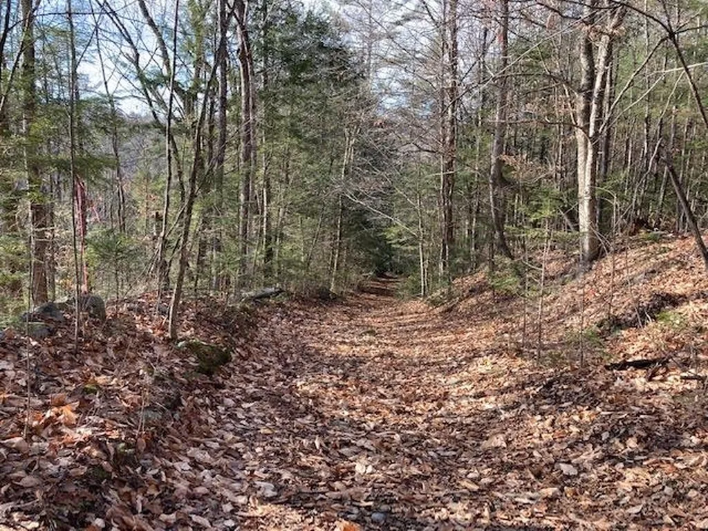 Kilton Road Canaan NH 03741