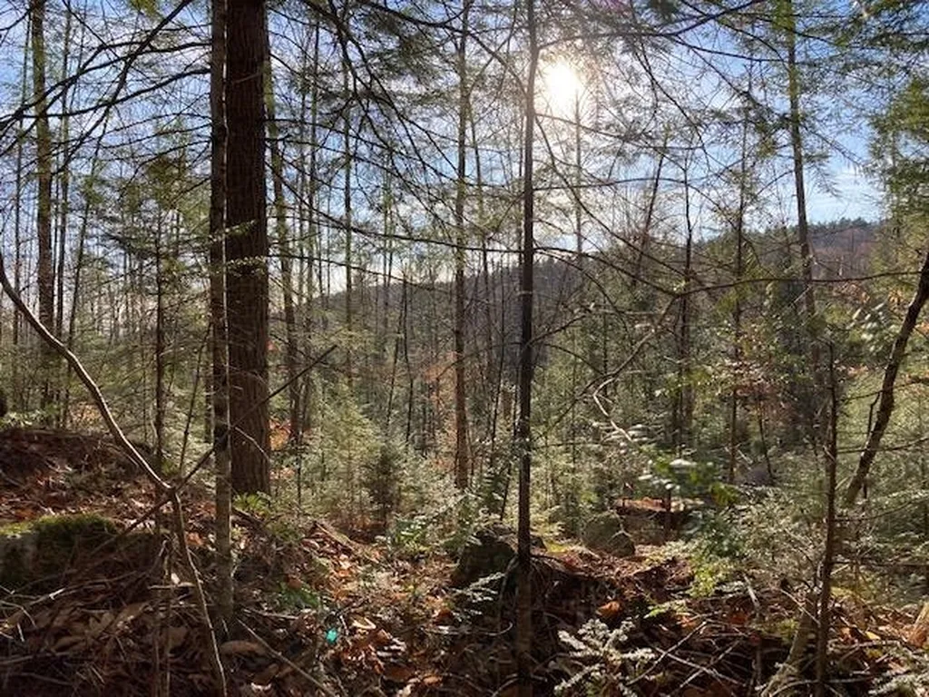 Kilton Road Canaan NH 03741