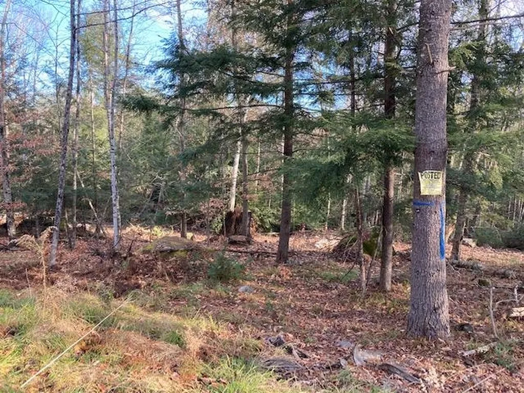 Kilton Road Canaan NH 03741