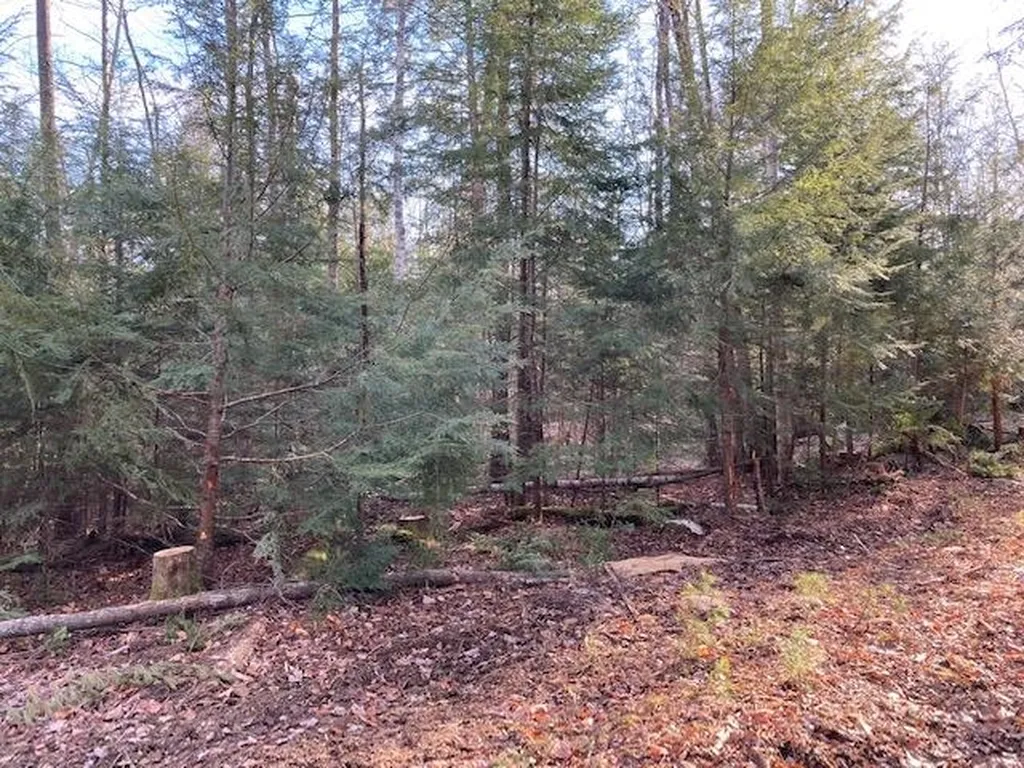 Kilton Road Canaan NH 03741