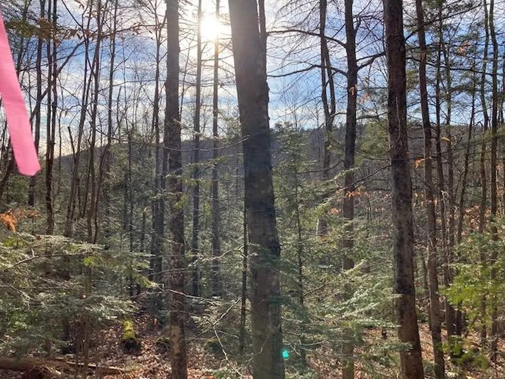 Kilton Road Canaan NH 03741