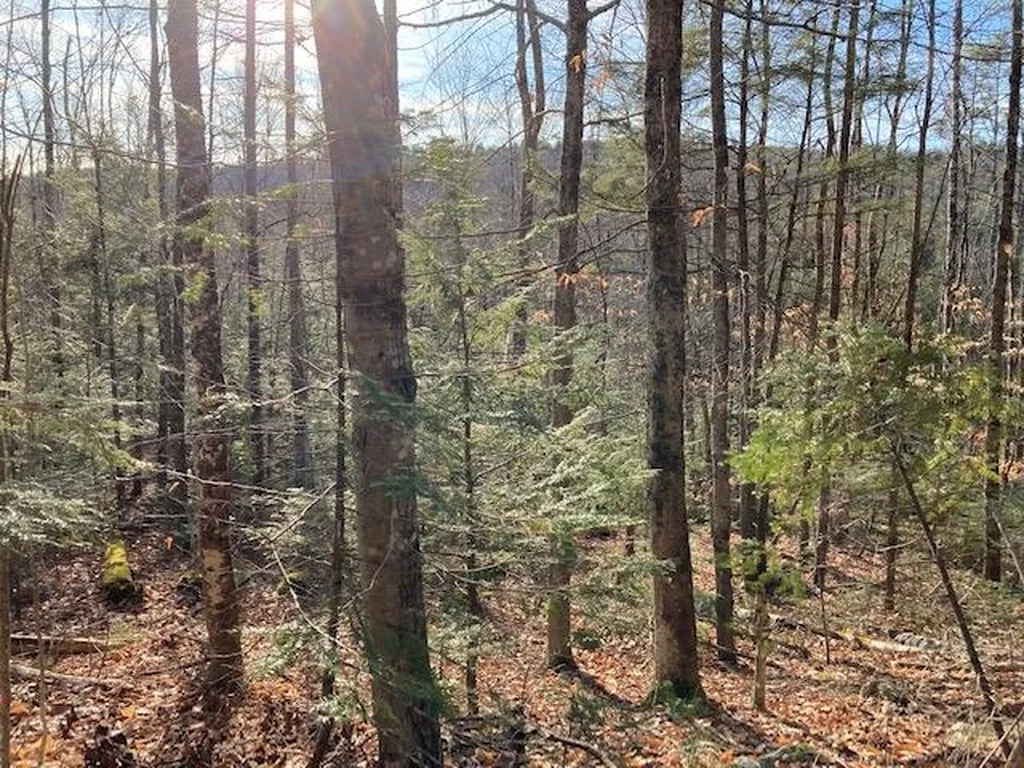 Kilton Road Canaan NH 03741