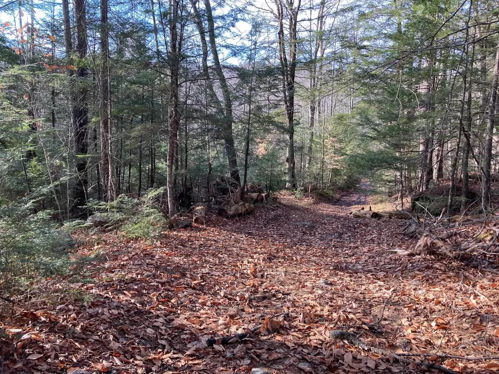 Kilton Road Canaan NH 03741