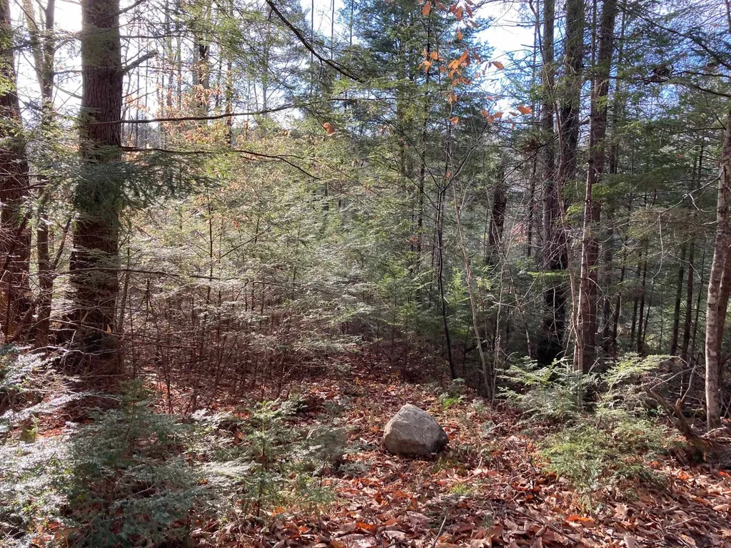 Kilton Road Canaan NH 03741