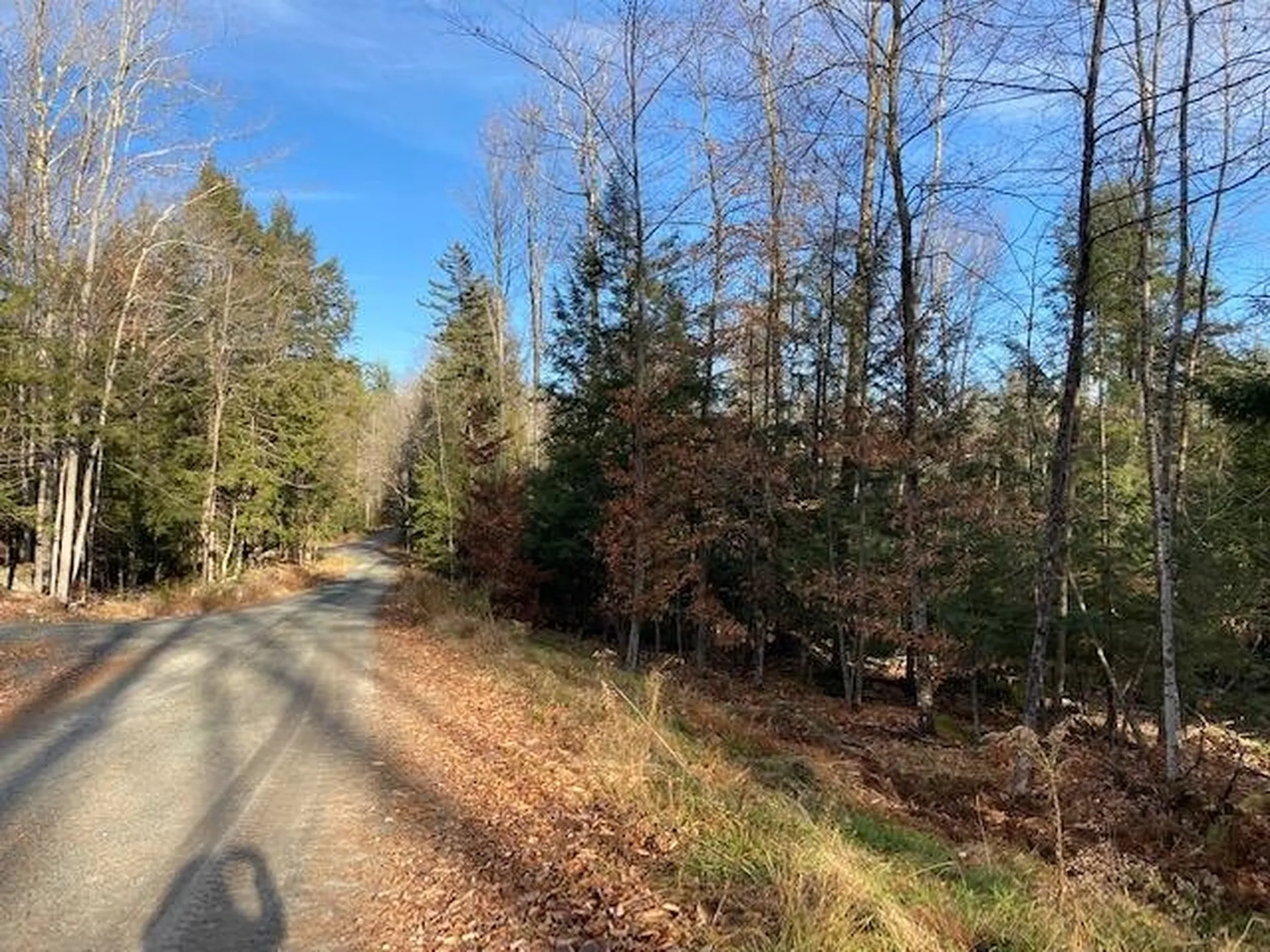Kilton Road Canaan NH 03741