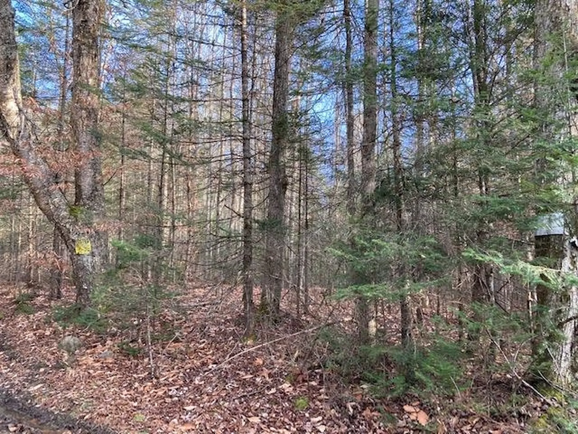 Kilton Road Canaan NH 03741