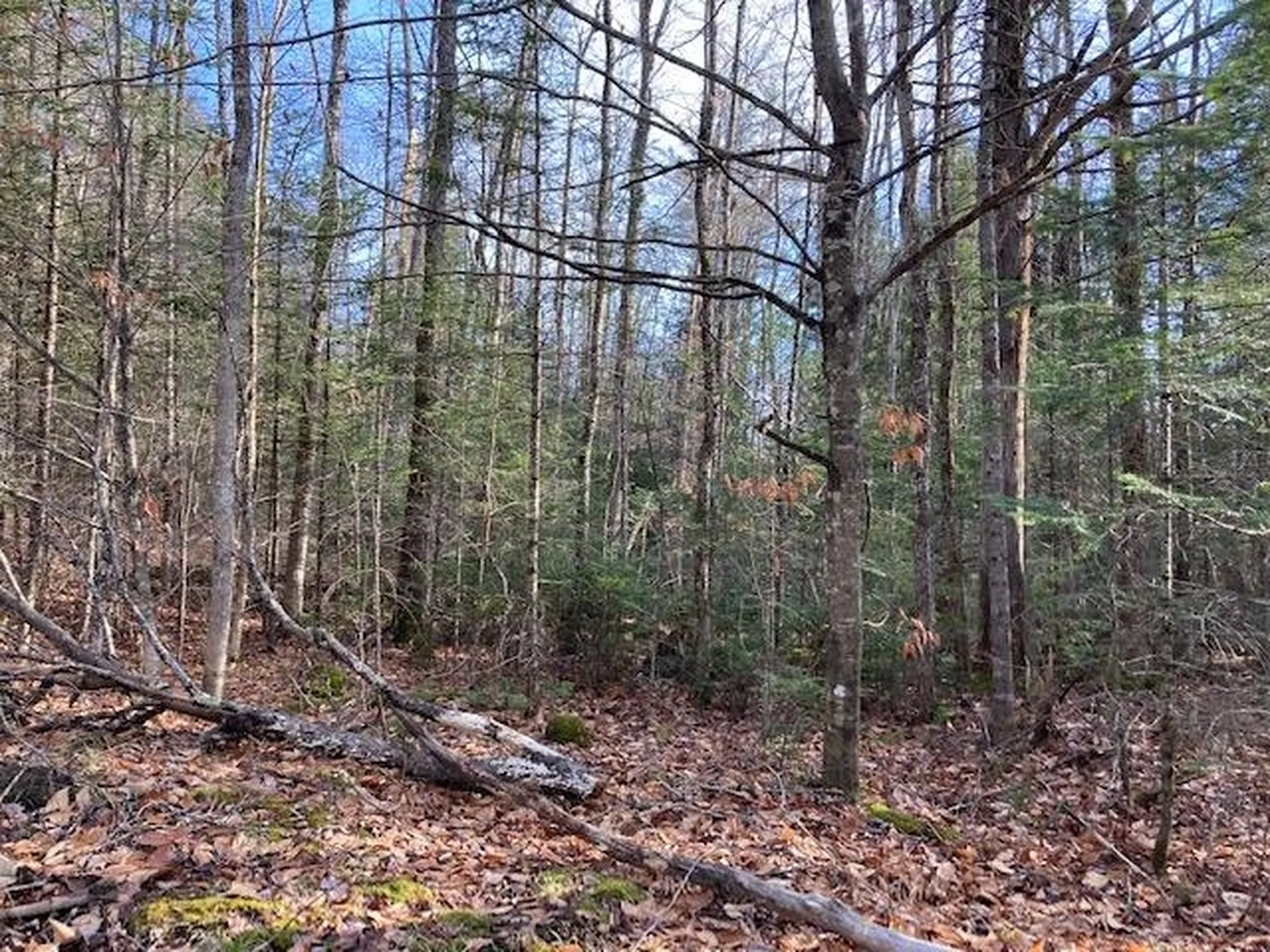Kilton Road Canaan NH 03741