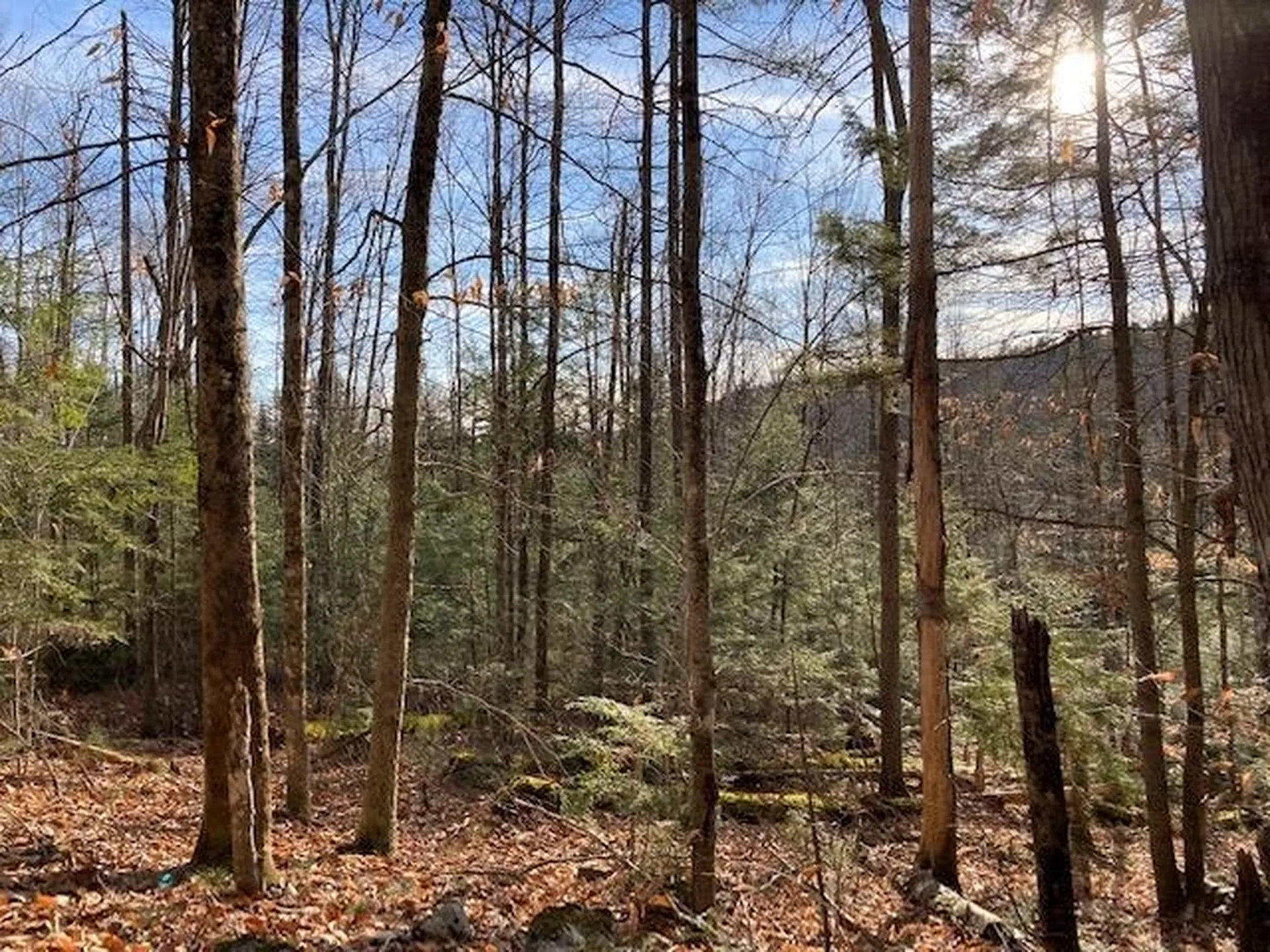 Kilton Road Canaan NH 03741