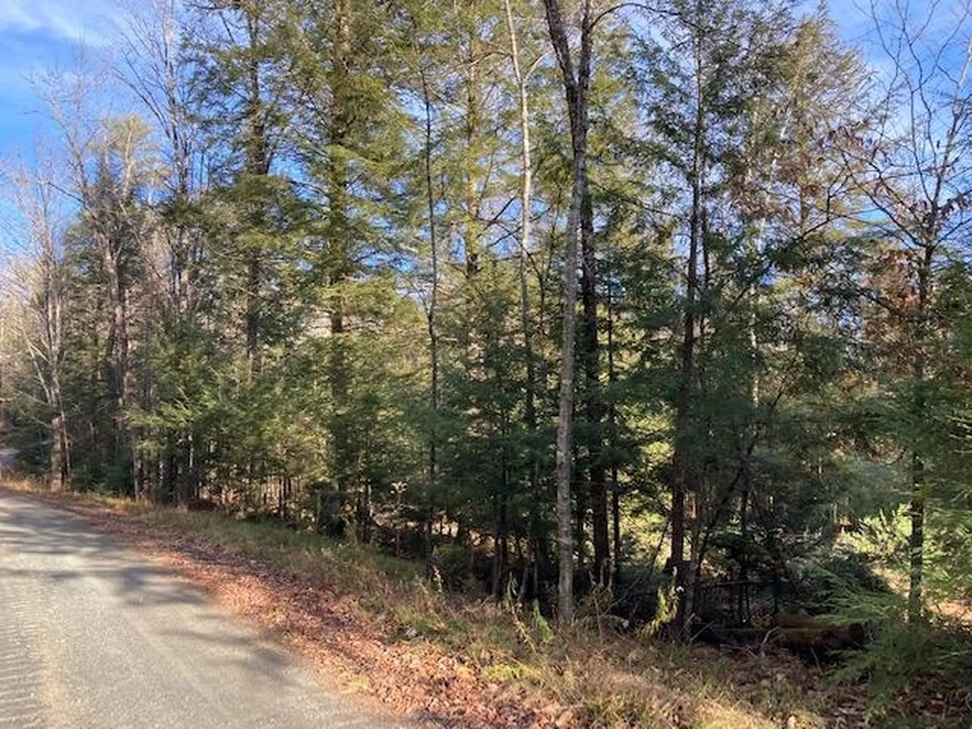 Kilton Road Canaan NH 03741