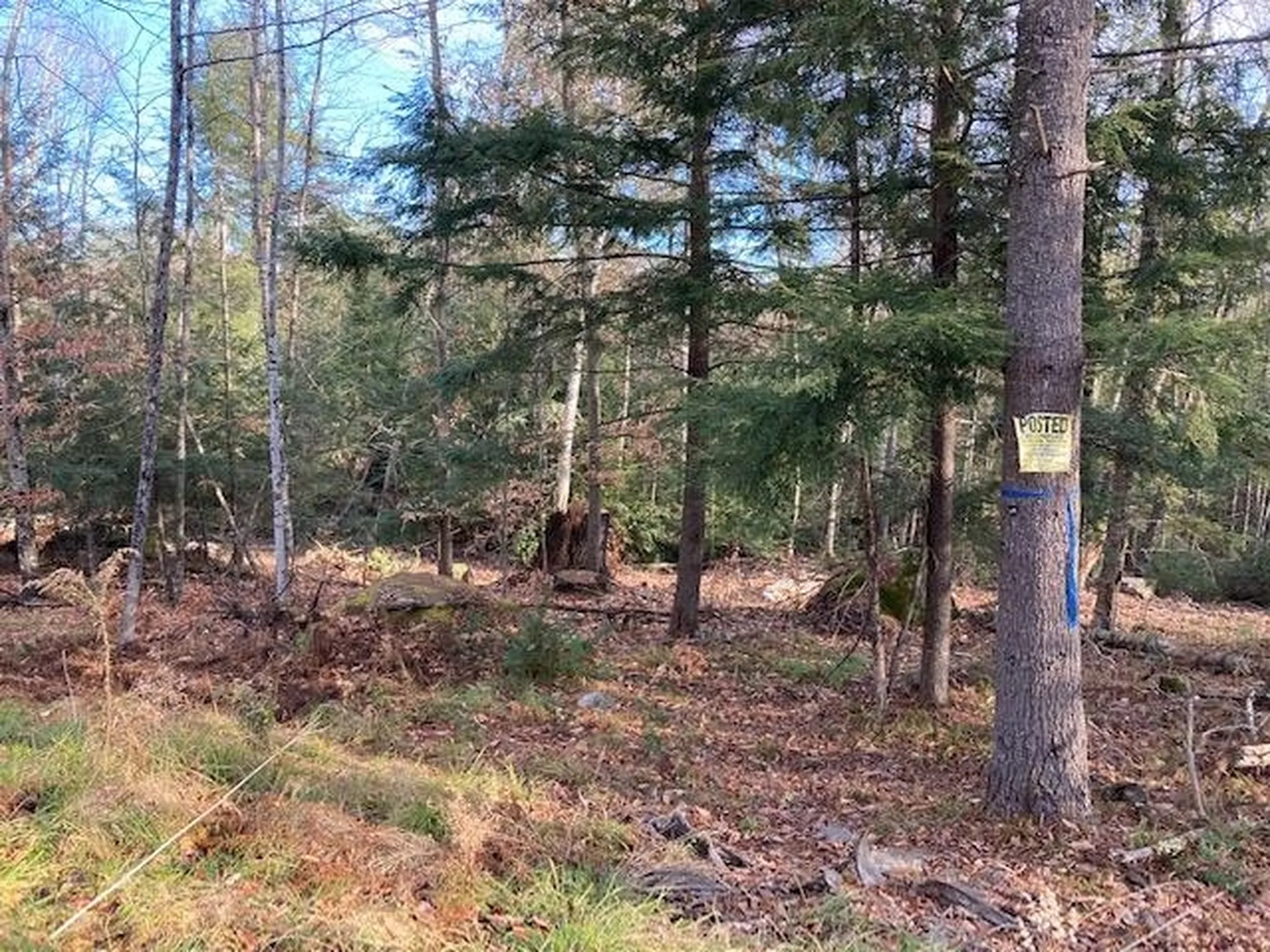 Kilton Road Canaan NH 03741