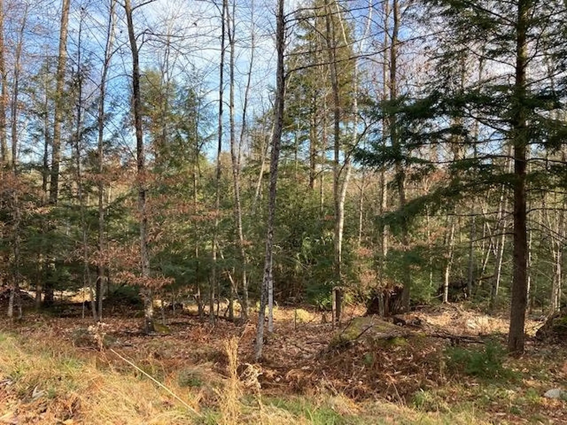 Kilton Road Canaan NH 03741