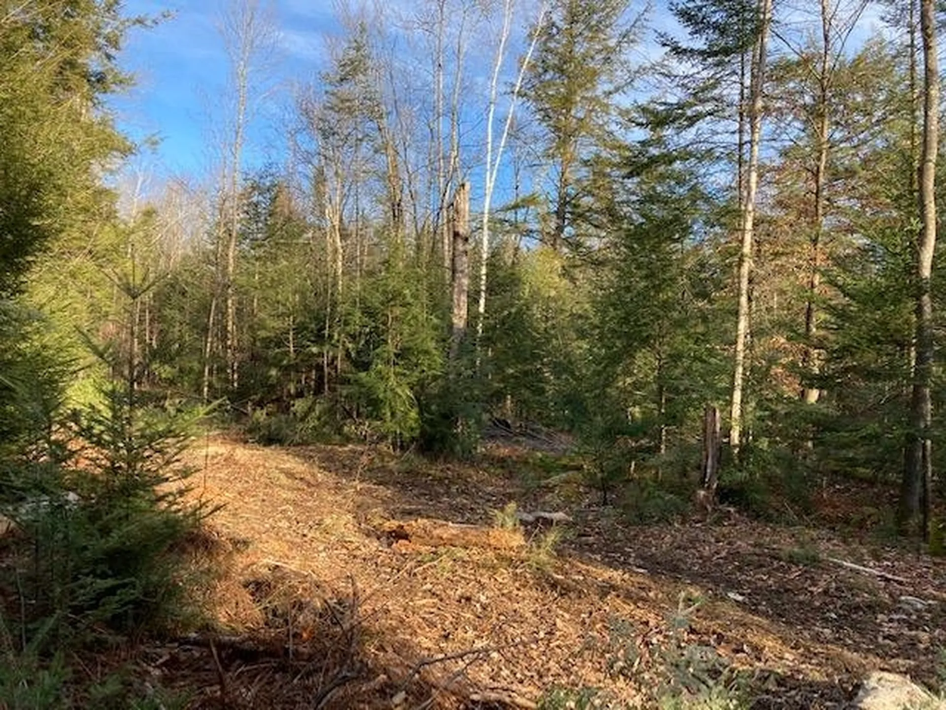 Kilton Road Canaan NH 03741