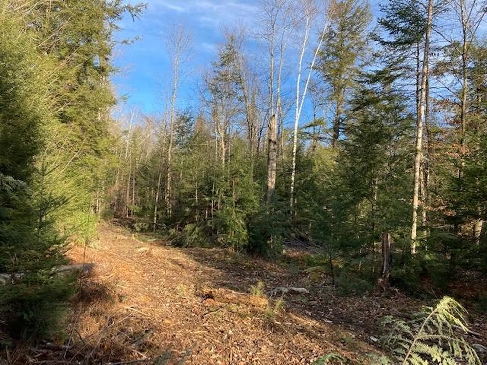 Kilton Road Canaan NH 03741