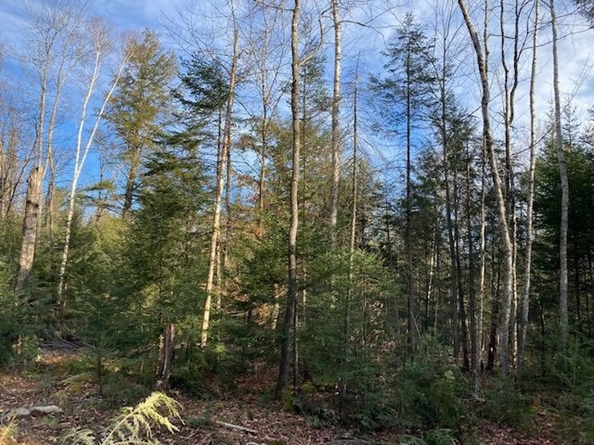 Kilton Road Canaan NH 03741