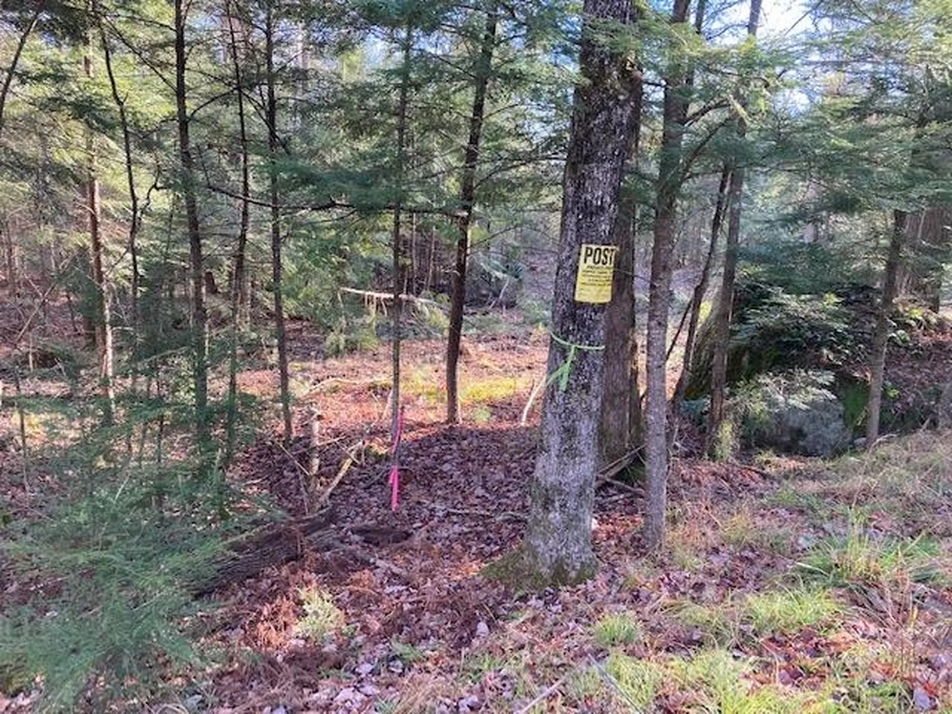 Kilton Road Canaan NH 03741