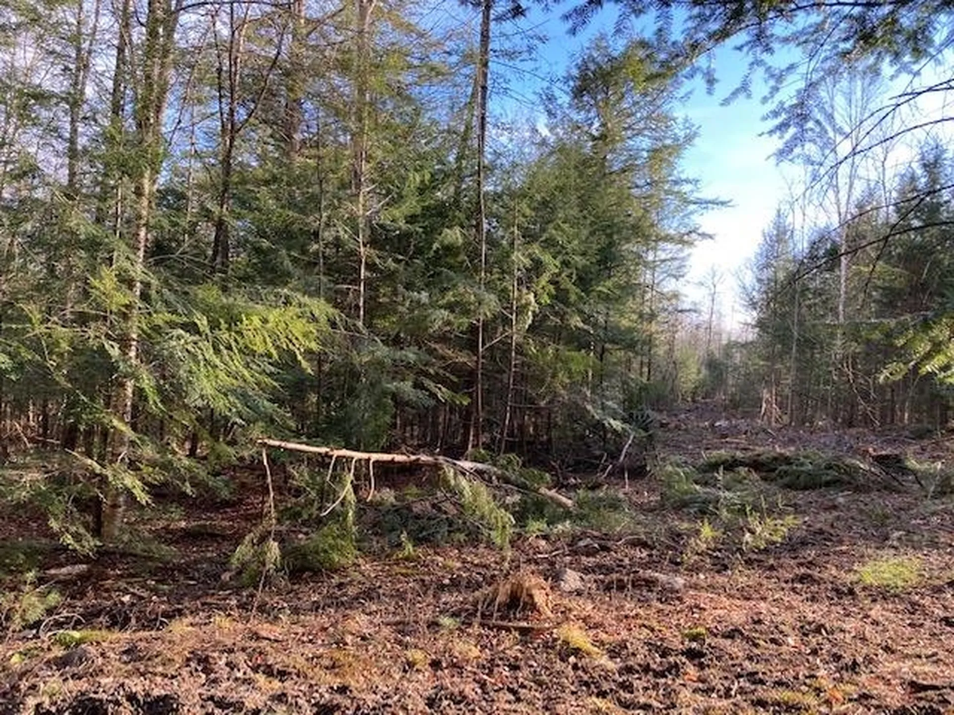 Kilton Road Canaan NH 03741
