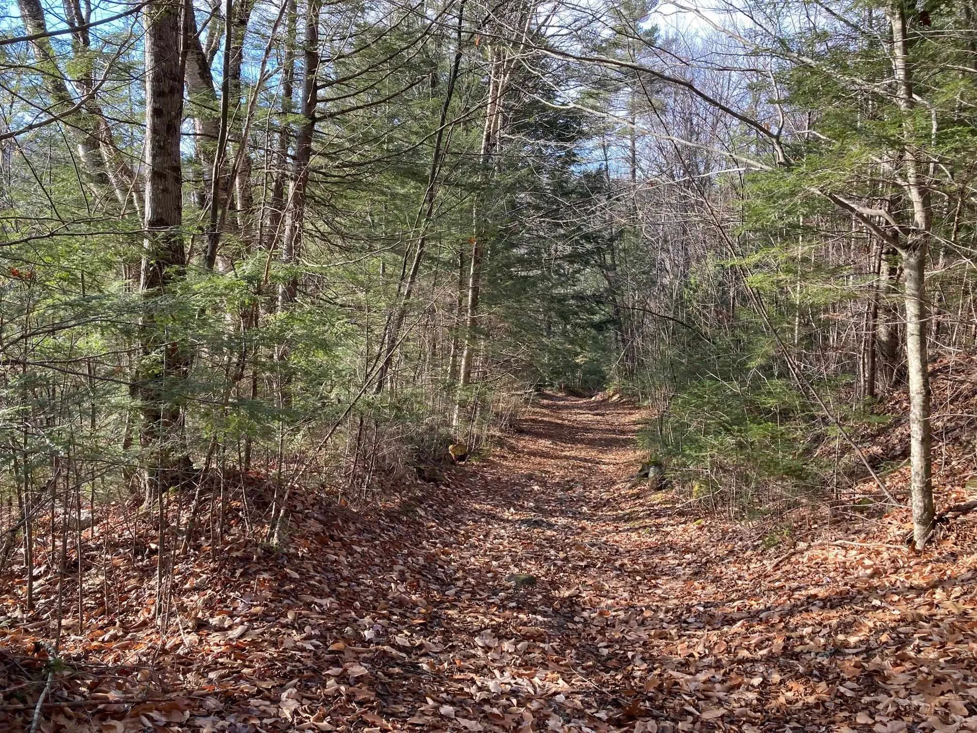 Kilton Road Canaan NH 03741
