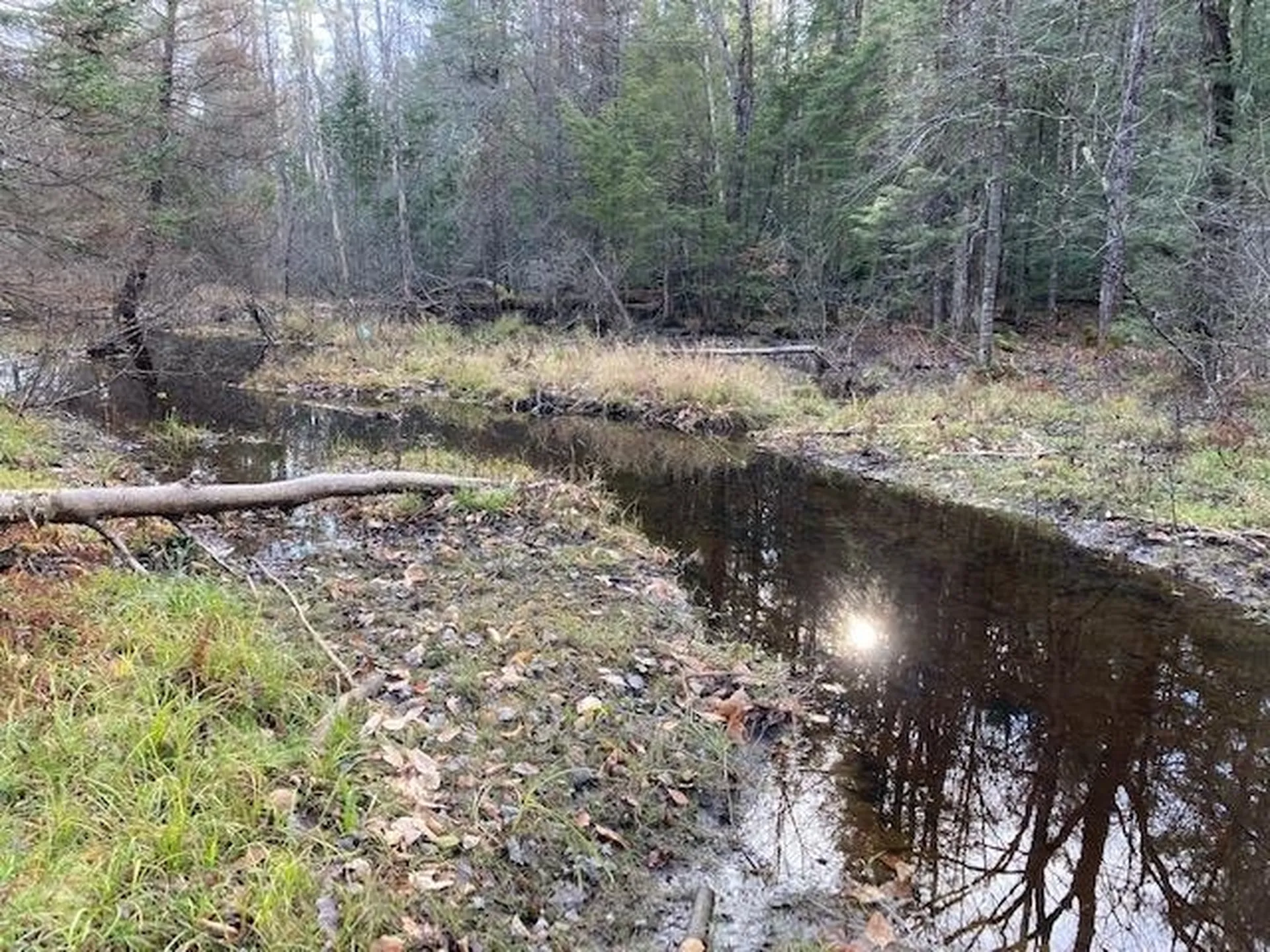 Kilton Road Canaan NH 03741