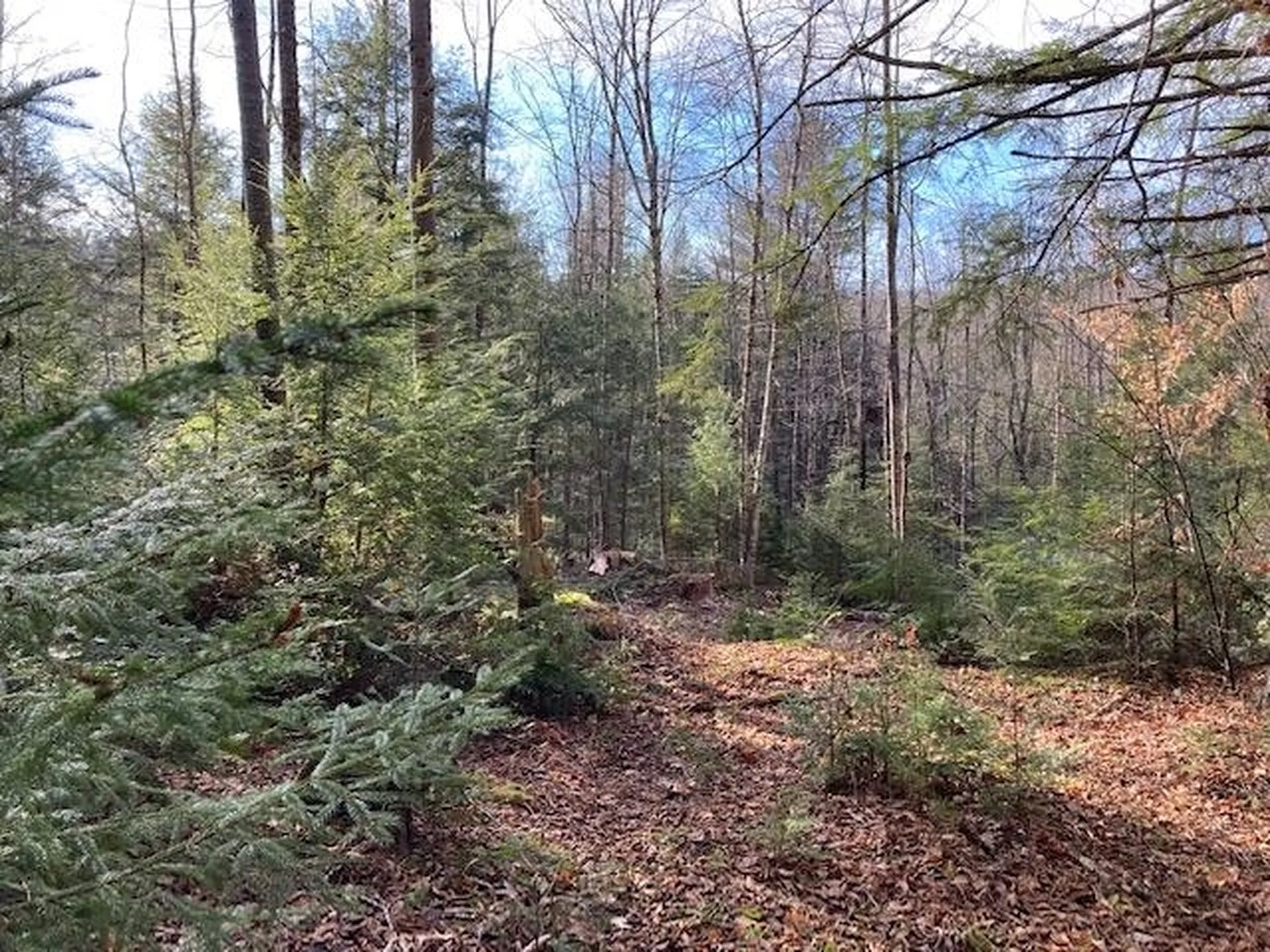 Kilton Road Canaan NH 03741