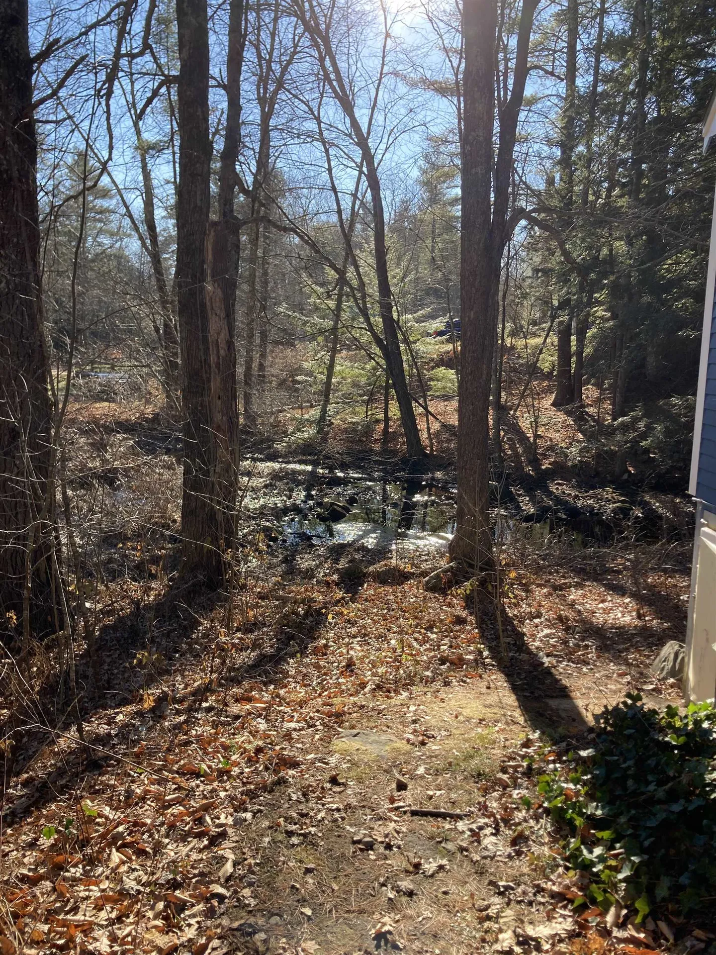 6 Dolloff Dam Road Nottingham NH 03290