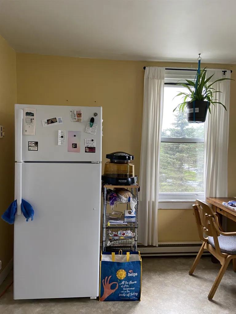 36 Seymour Street Middlebury VT 05753