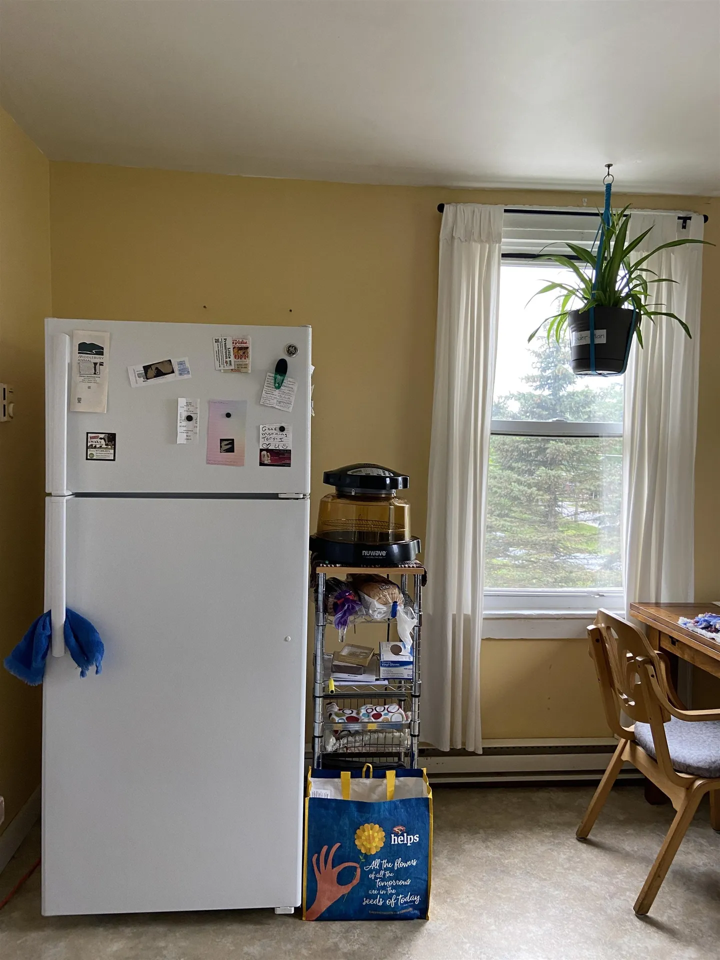 36 Seymour Street Middlebury VT 05753