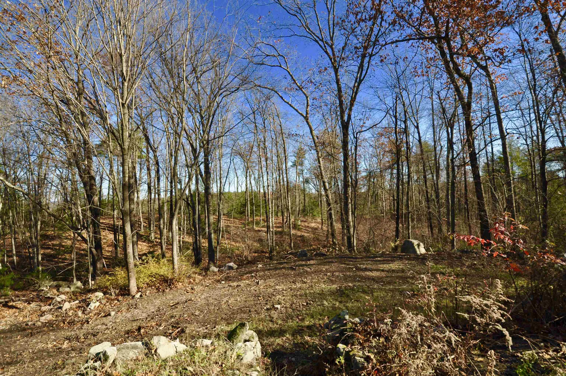34 Ball Hill Road Milford NH 03055-3407
