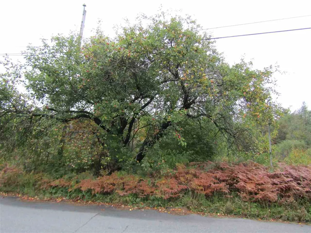 Lot 3 Bog Road Stratford NH 03590